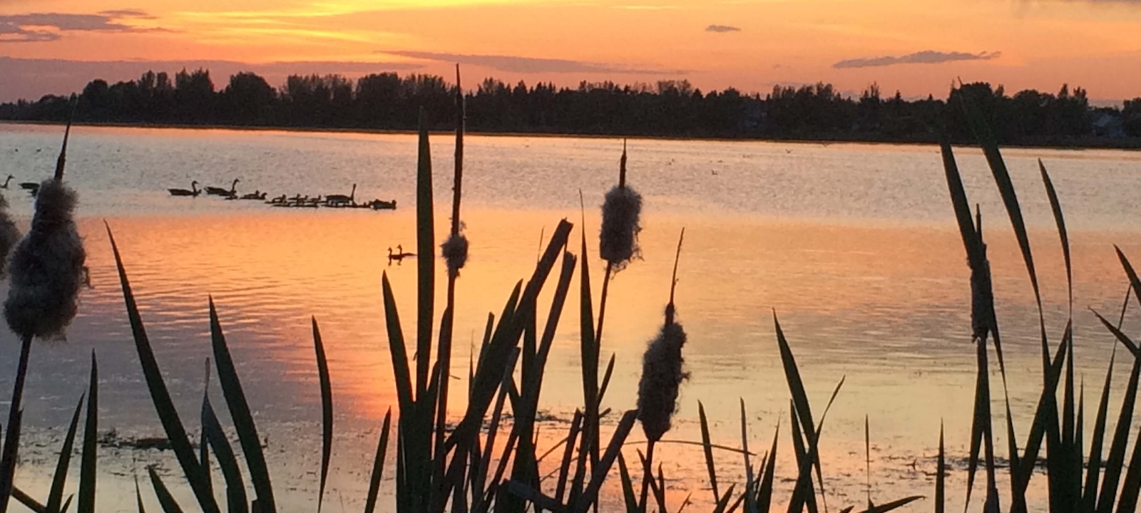 Bonnyville Jessie Lake 1600x720